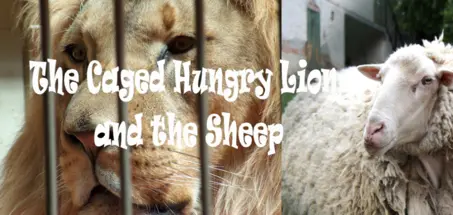 The Caged Hungry Lion and The Sheep